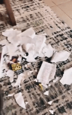 女友买了条性感蛇皮丝袜，结果晚上我没控制住...