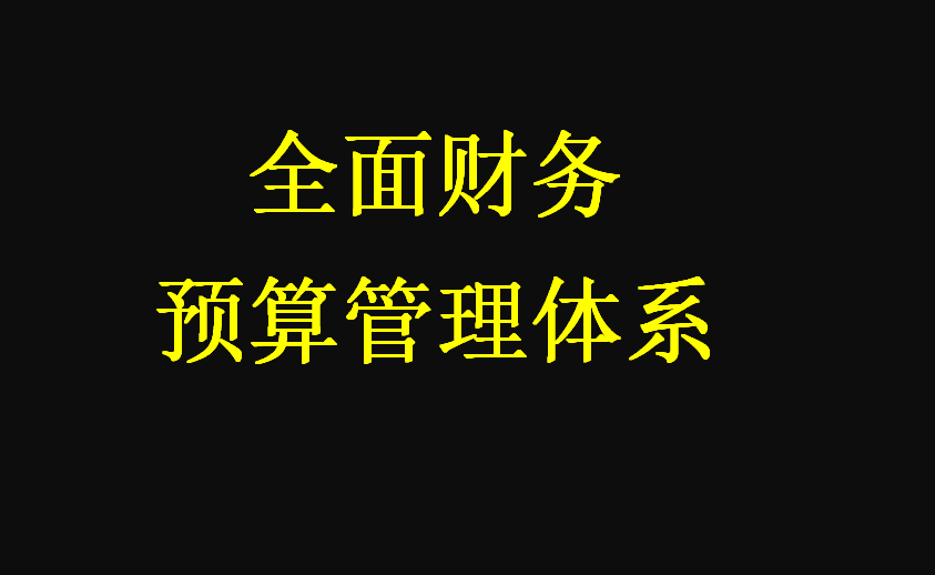 陈会计（陈财务升职被质疑靠关系）
