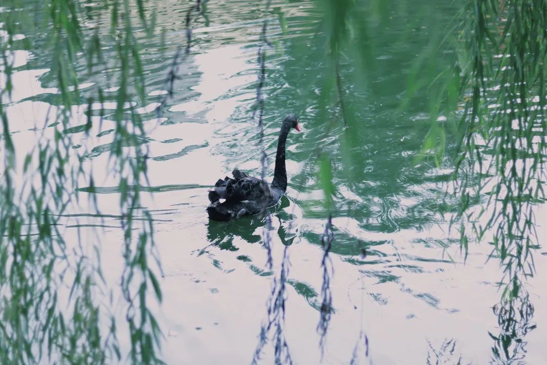 高考结束了？快来看看中南大学吧！