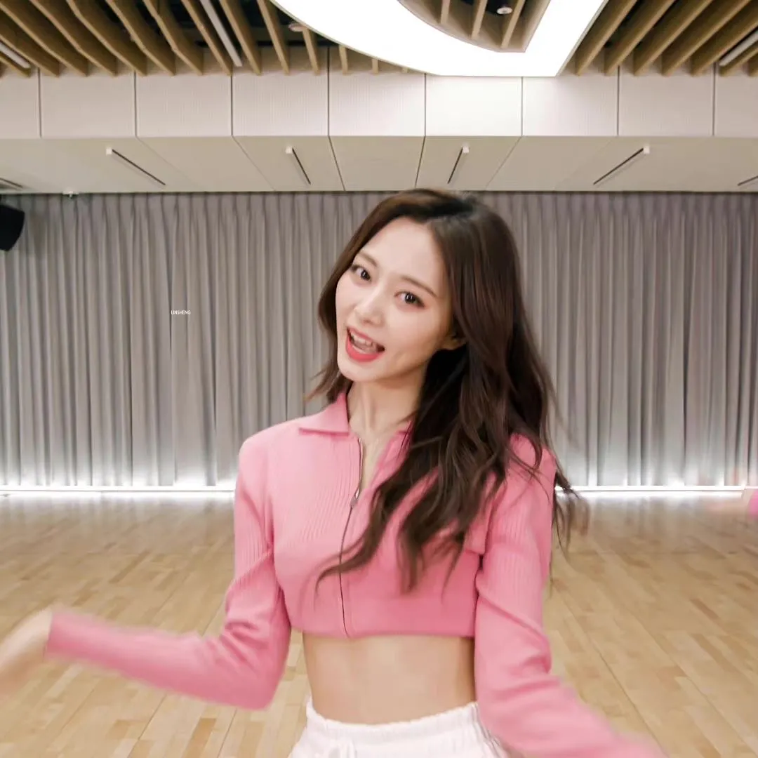 TWICE各成员续约可能性公开!子瑜-Mina恐不续约?