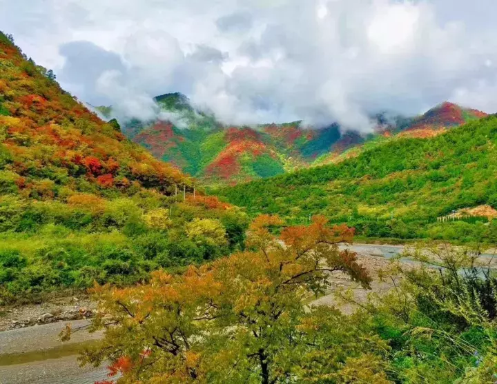 中国醉美秋色在秦岭,2条自驾路线解锁最绚烂秋景,10月最美
