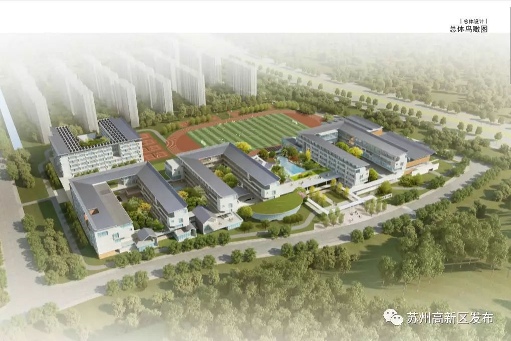 全面爆发！苏州传来一大波好消息，身价要涨！「打听猫」