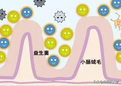 蒙脱石散、补液盐、妈咪爱、整肠生....宝宝腹泻用药指南