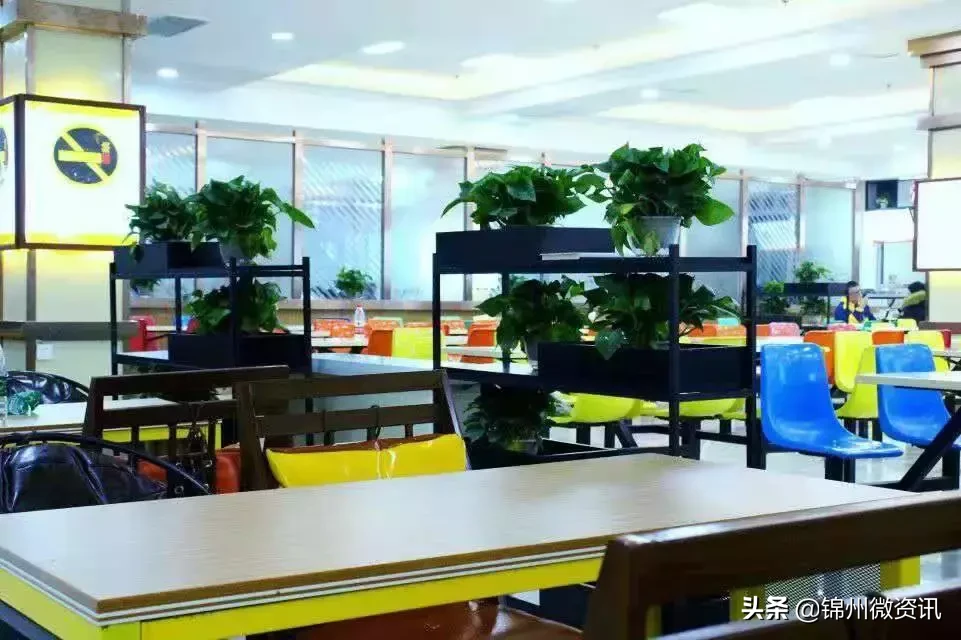 锦州渤海大学！全国最美大学之一！新入学的同学想知道的都在这里