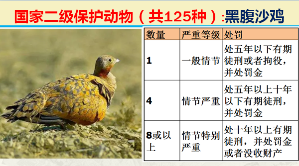 国家保护动物分几个等级（125类二级野生保护名录）