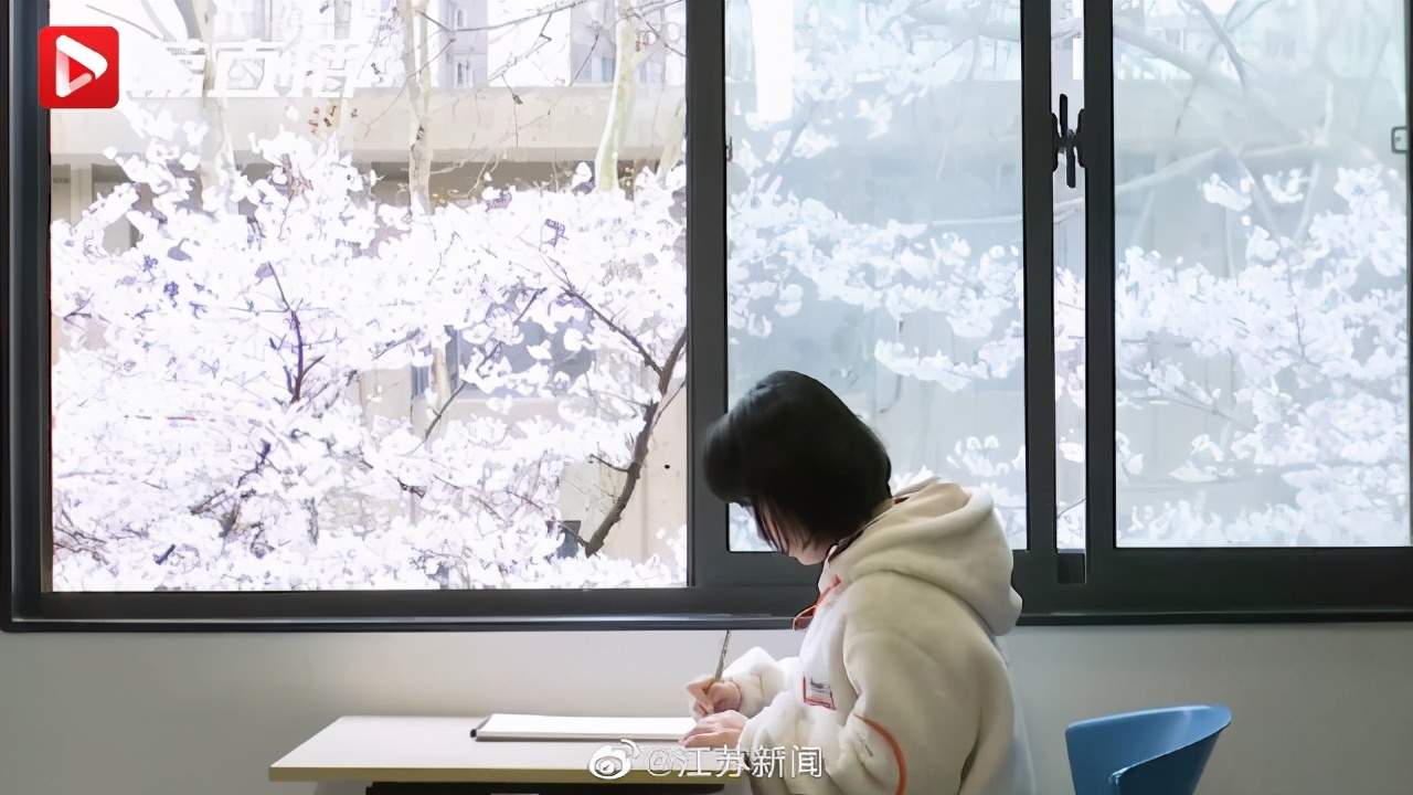 樱花不输武大，动漫场景完美重现！网友：又一座别人家的学校