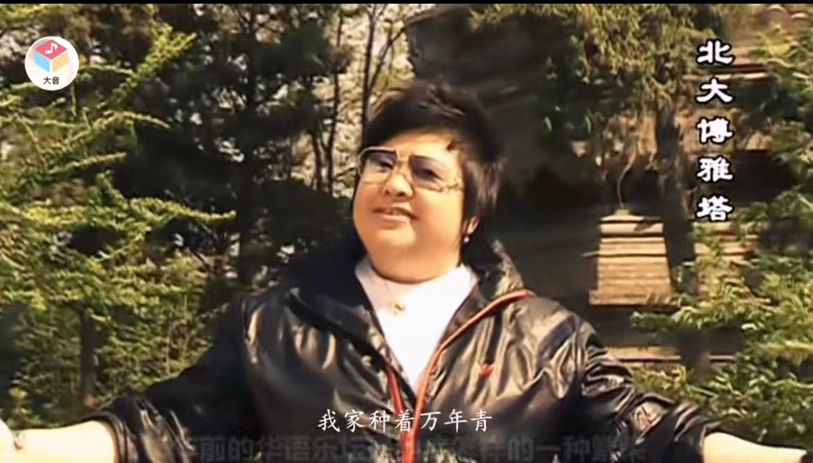 《北京欢迎你》13年，27位明星大变化，有人如换头，你还能认出吗