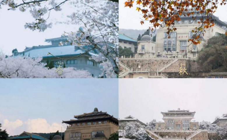 湖北有所大学好拼，为了能晋升第一梯队，一共有11名教授加入