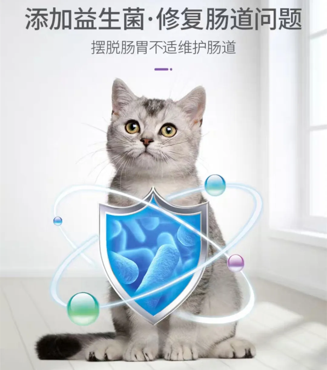 猫咪突然拉肚子了，该怎么办？