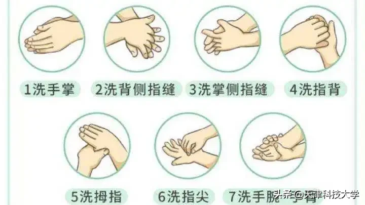 返校指南plus，你想知道的都在这里