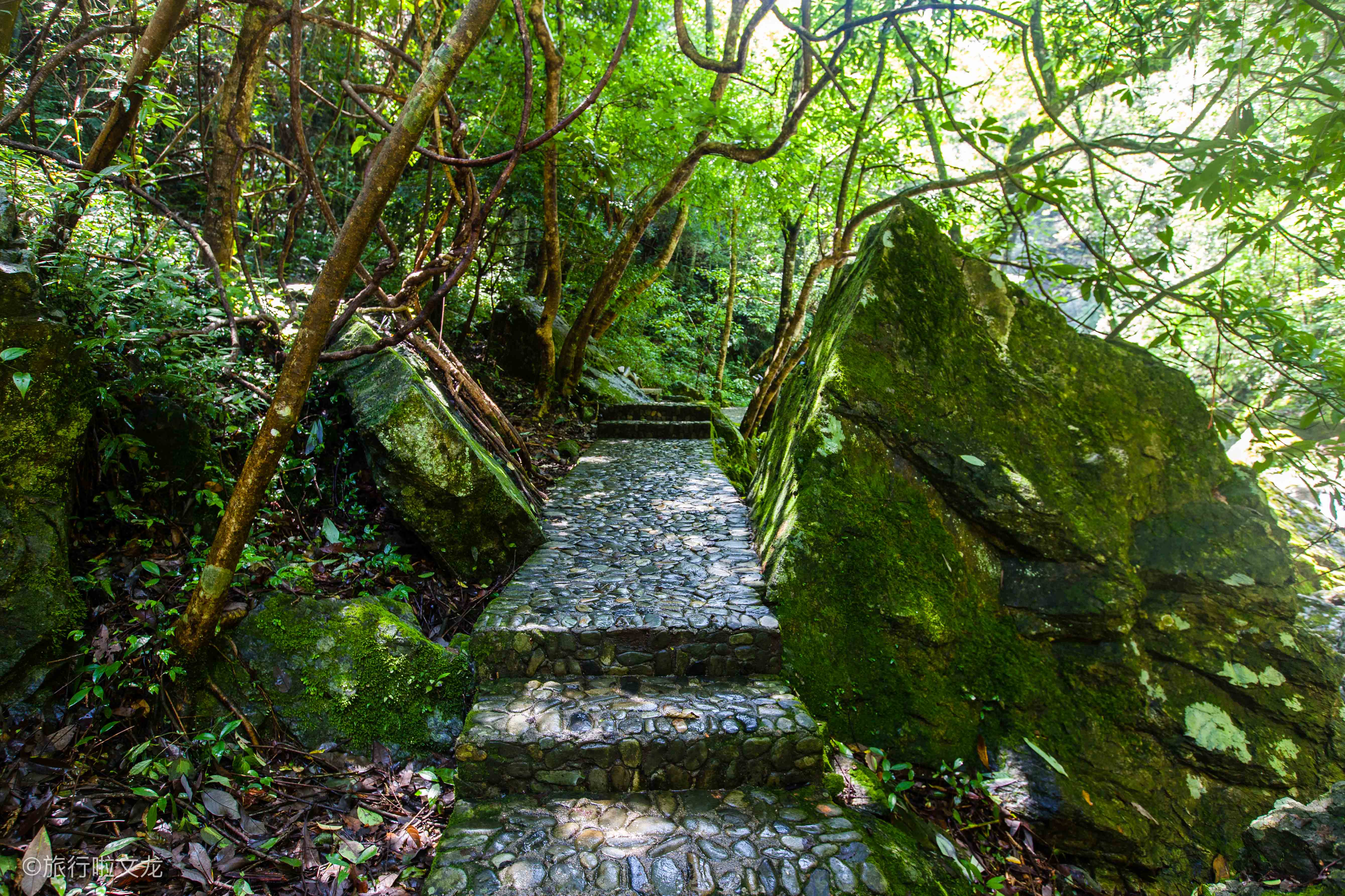 夏季的避暑胜地,推荐黄山的西脉安徽仙寓山,大自然所形成的美景