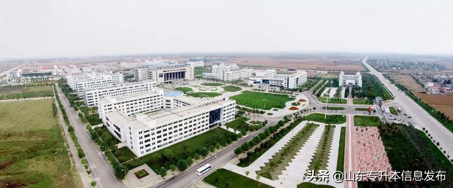 山东专升本各专业对应招考院校分析---计算机科学与技术