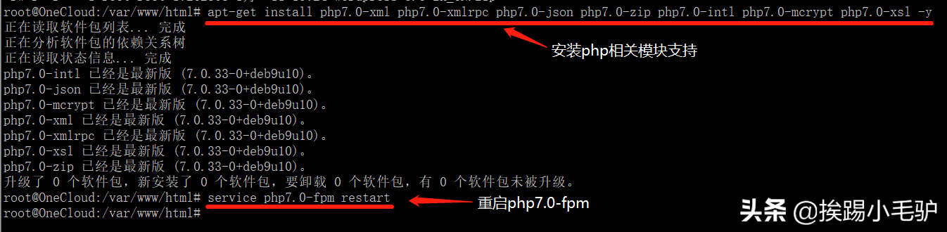 玩客云系列5之debian安装WordPress建站工具