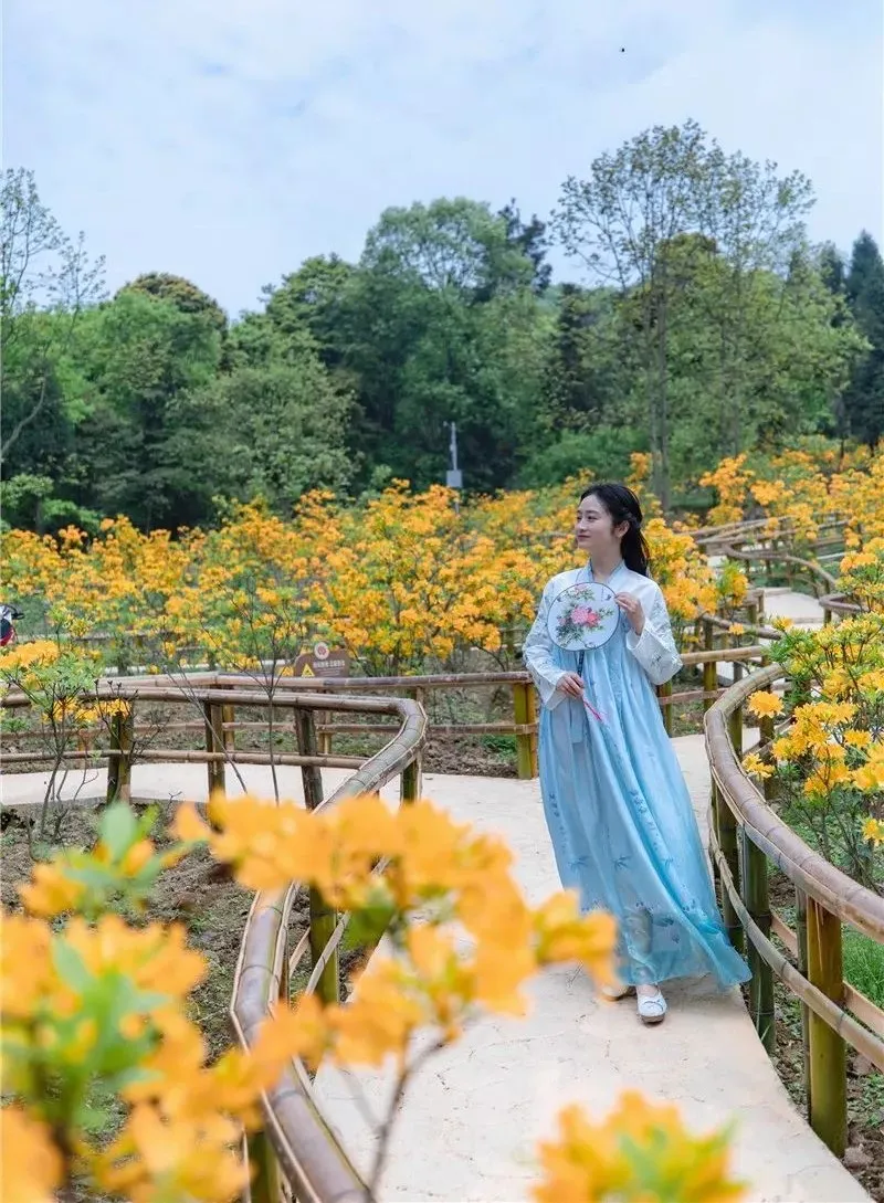 清明去哪儿？成都出发9条线路，踏青赏花逛古镇，采茶逗鹿看石刻