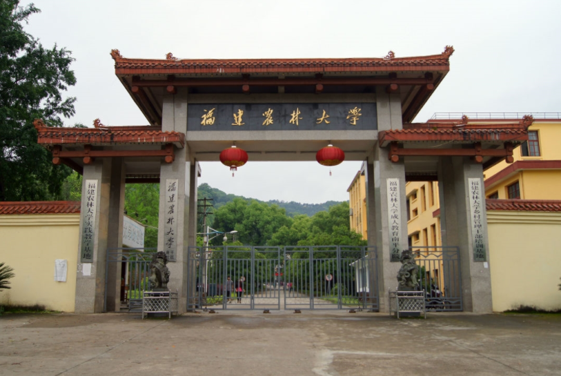 福建将喜提4所“大学”，名字起得高大上，学生简直不要太幸福