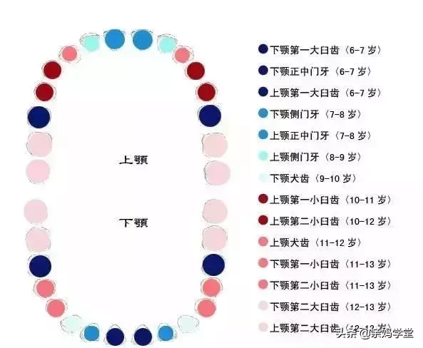 一千VS六万，治好孩子的满口坏牙到底要花多少钱？