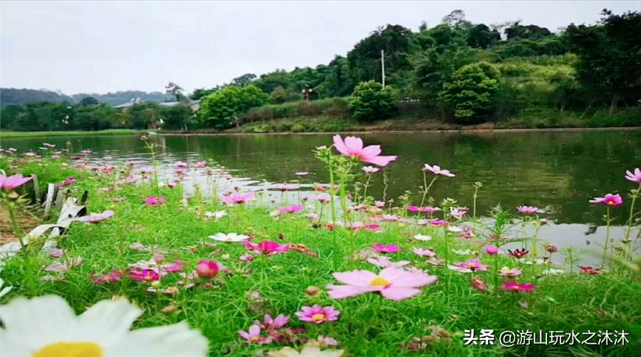 重庆主城九区旅游攻略，好玩人少的打卡景点，收藏好总有一天有用