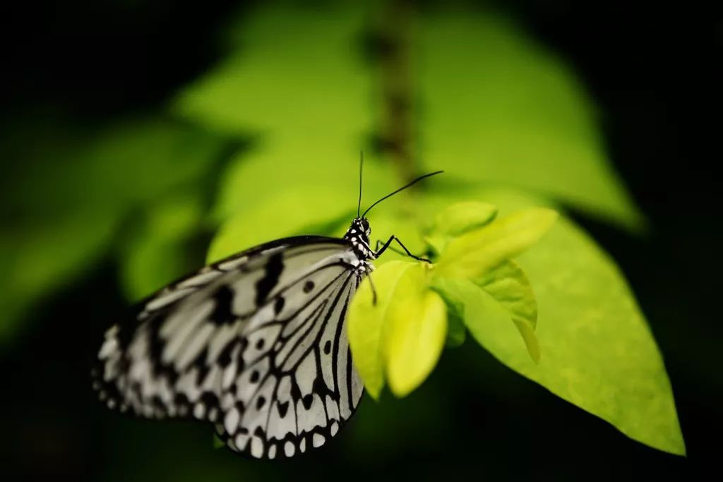 告别平谈的照片吧！ 17招让你的照片有大片感