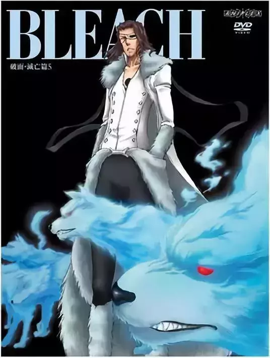 《死神BLEACH》中的十刃，你知道象征哪十种死亡因素吗？