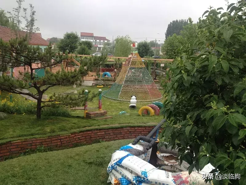 临朐28所学校的过去和现在，看看有没有你的母校？