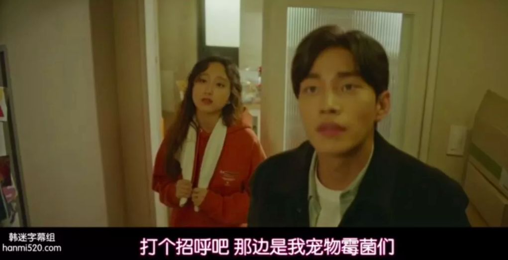 改造韩剧女主恩珠学和出租店迎接爱情和新的人生