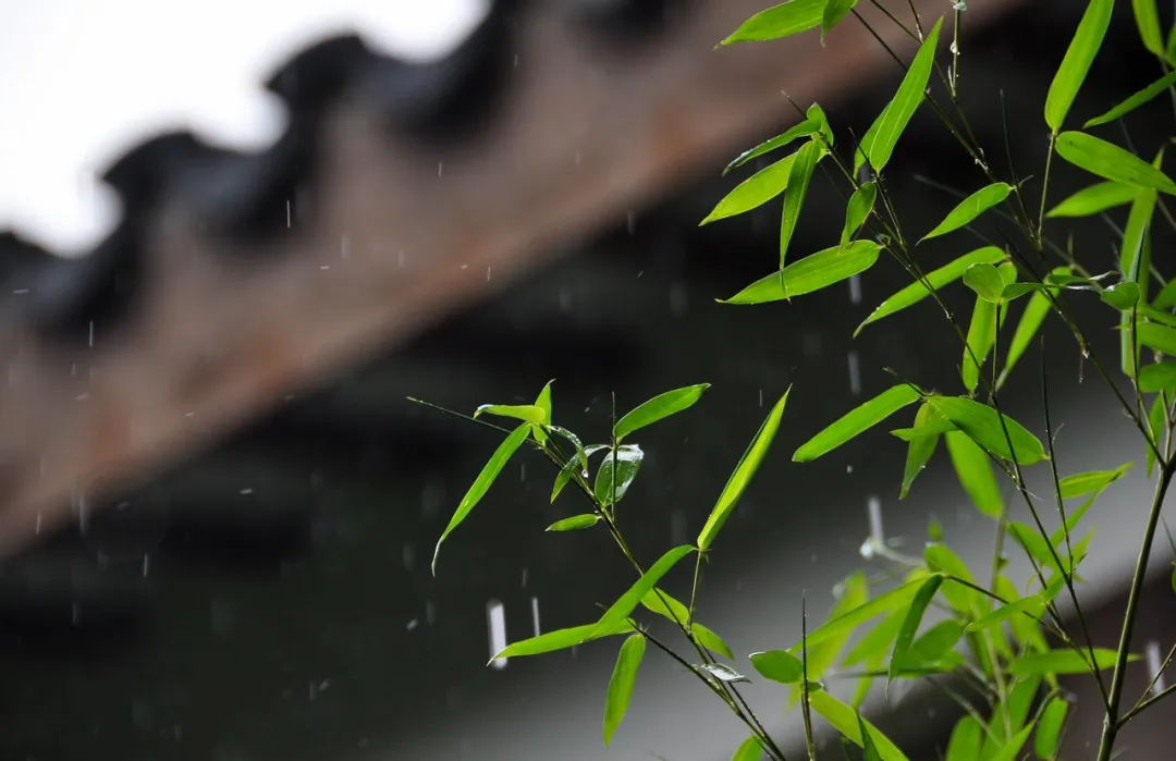 诗词 | 风也萧萧，雨也萧萧，诗词里多萧萧