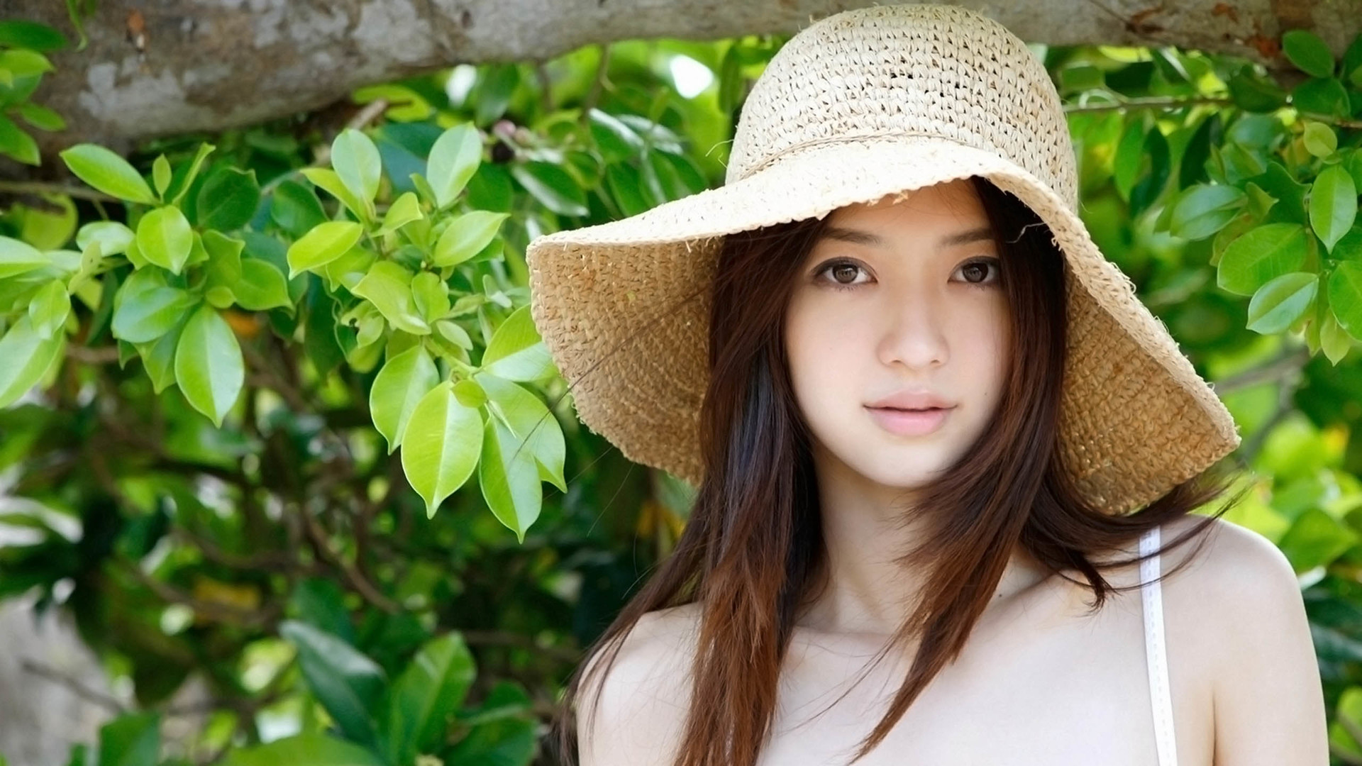 周二书单丨第二波腹黑老公爱上我，又攻又盐，好看的不要不要的！