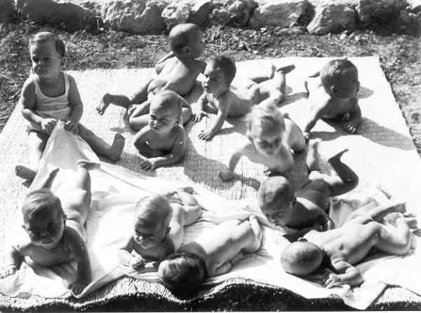 韦斯特马克效应（比有情人终成兄妹更狗血的是，你拿动物当宠物，它却把你当同类？）