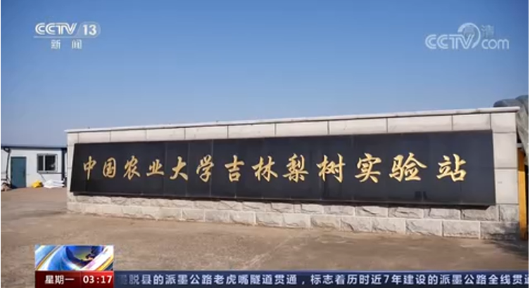 “火”了！近2个月长期“霸屏”央视，这所985名校引起全国关注！