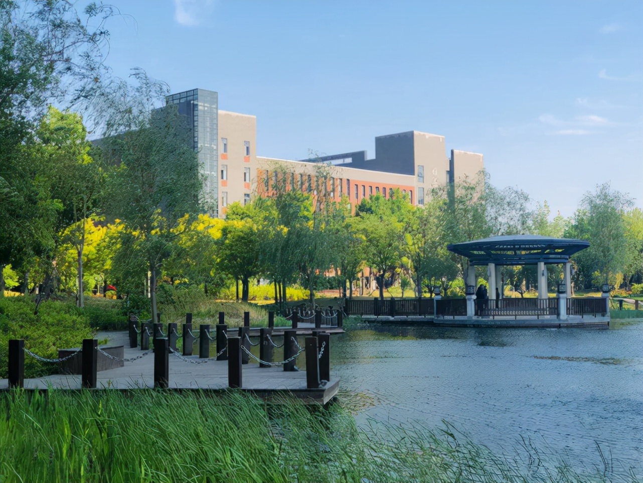 没有博士点的河南财经政法大学，连续五年一本录取线位列省内第三