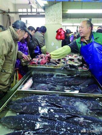 深冬来临，徐州淡水鱼价格小幅上涨