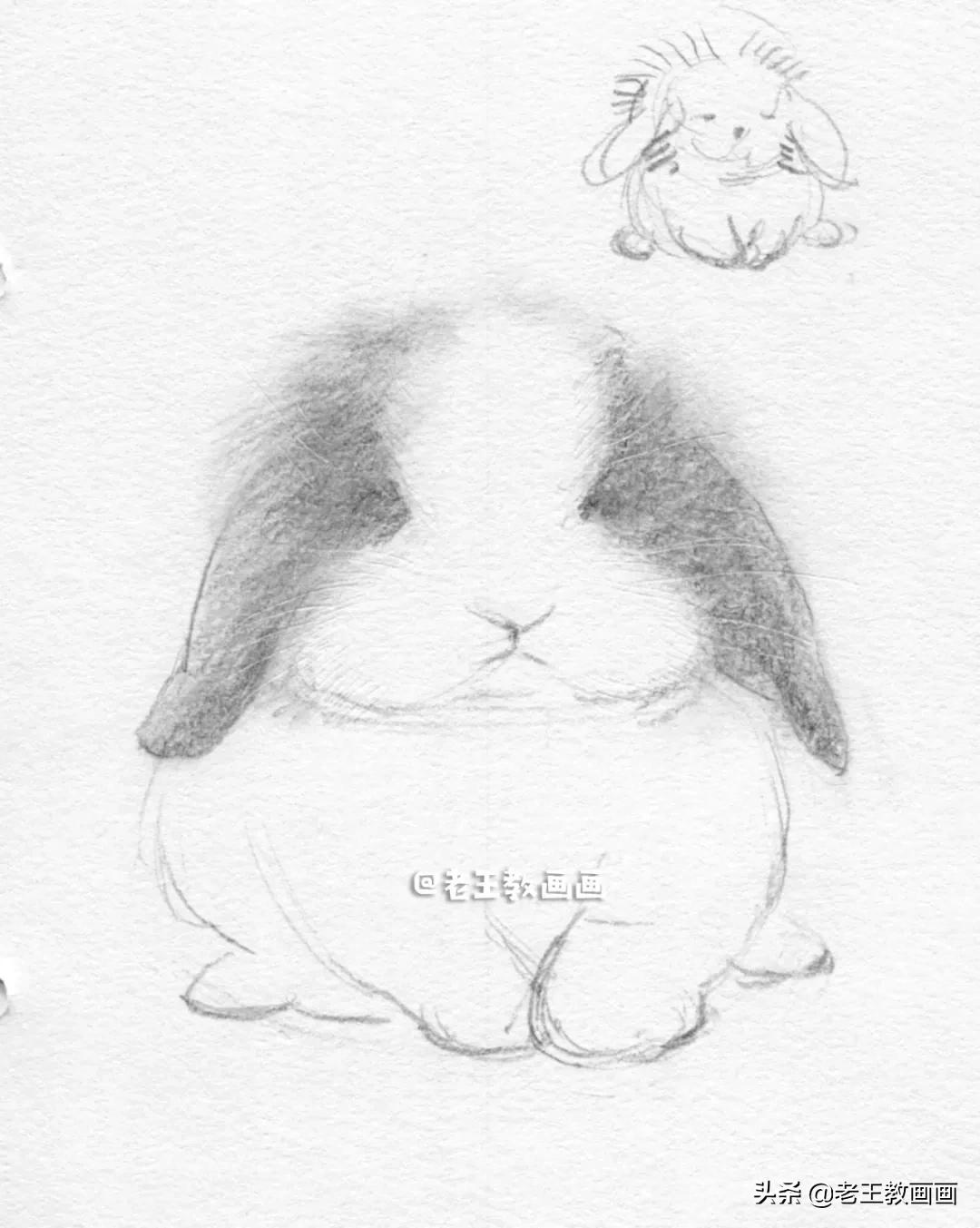 怎么画兔子（怎么画兔子才好看）