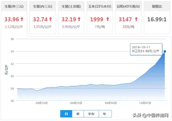 「10月11日猪价」生猪价格普涨来临，势头更为迅猛