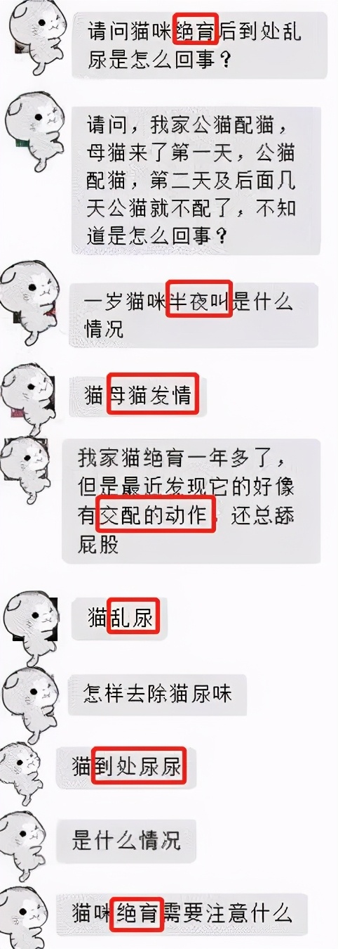 猫咪发情了怎么办？做好这几点，你也是个专业的铲屎官