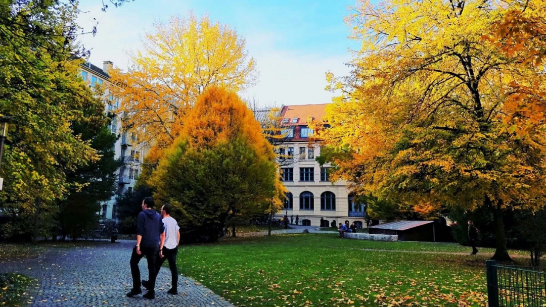 杭州这所高中的德语班开办13年 凭什么在学生、家长当中积累深厚的口碑？一届届毕业生发展得怎么样？