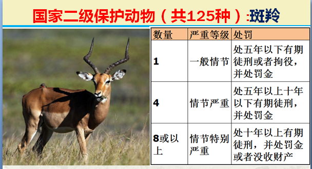 二级保护动物（国家最新125类二级野生保护名录）
