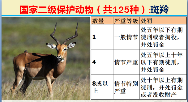 国家保护动物分几个等级（125类二级野生保护名录）