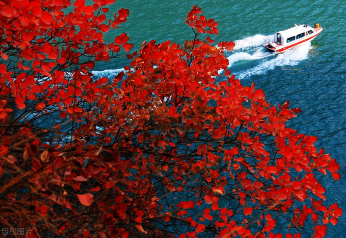 这17处枫叶观赏地,总有一个能惊艳你