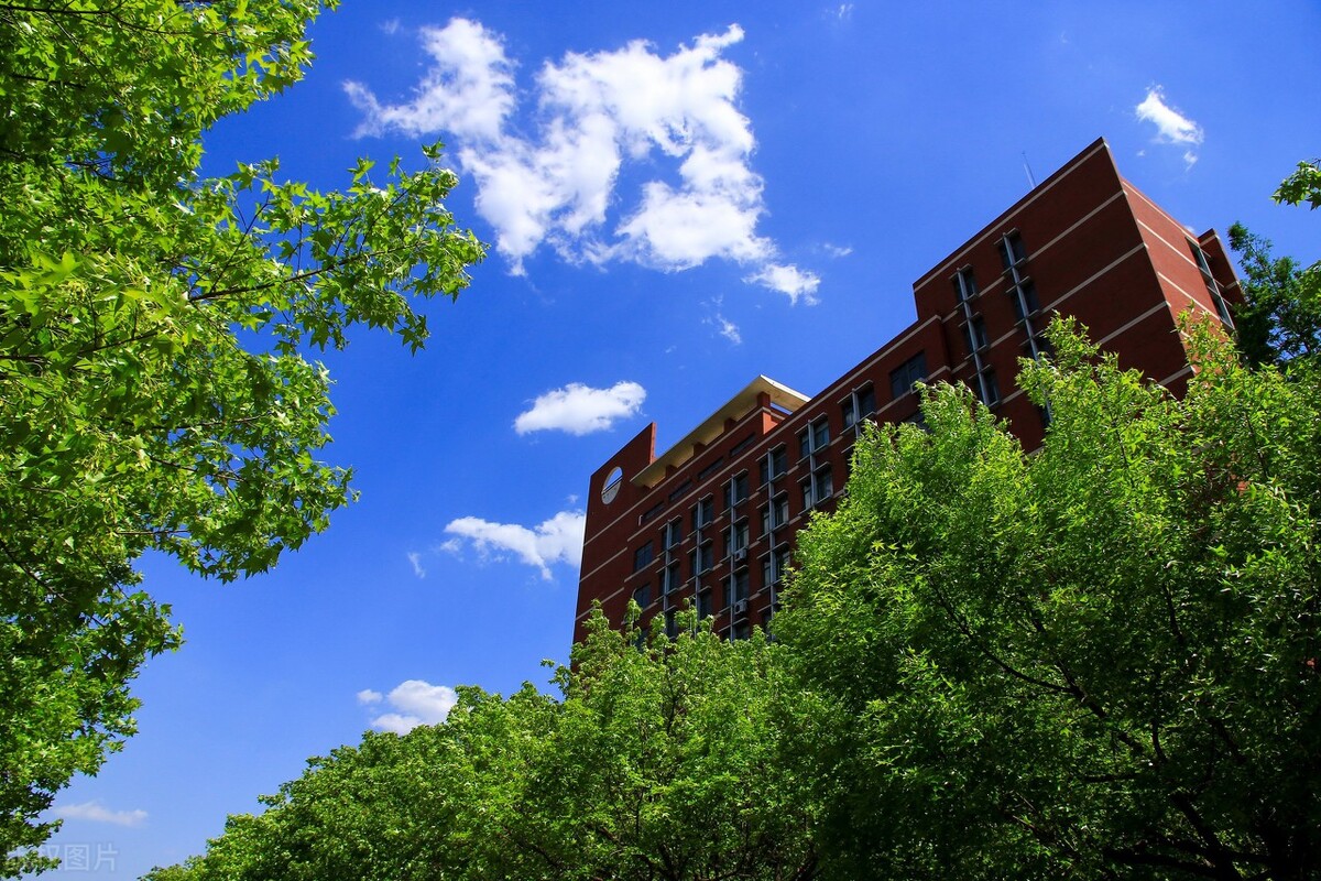 高考志愿填报技巧篇，同分数段同位次学生如何填志愿，收藏关注