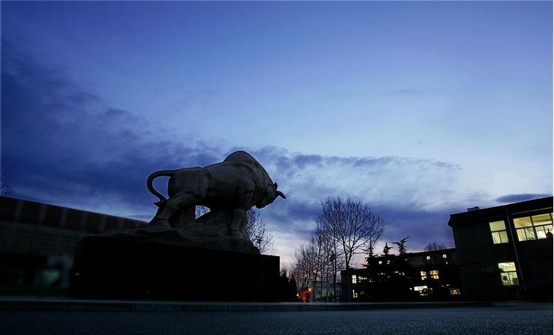 中国政法大学2019届本科生：就业落实率 99.18%，超三成在京工作