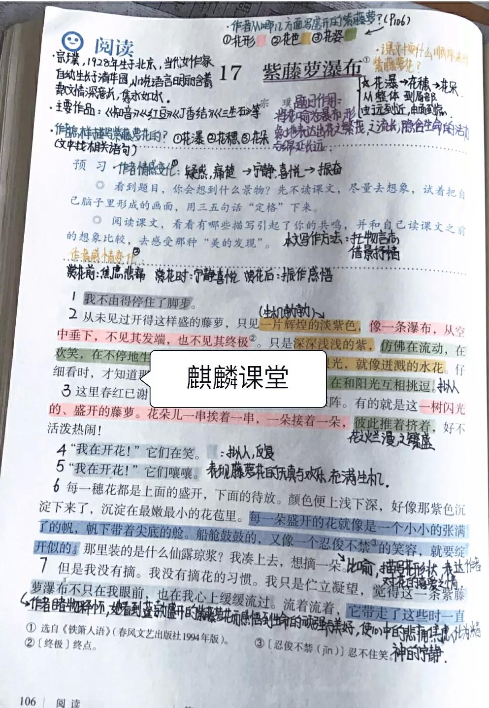 七年级语文下册十七课《紫藤萝瀑布》课文笔记,预习的好帮手