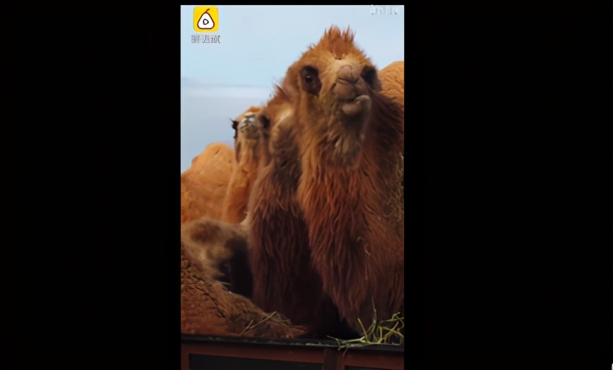 警方通报男子跳楼砸死路人：个人纠纷【三分钟法治新闻全知道】