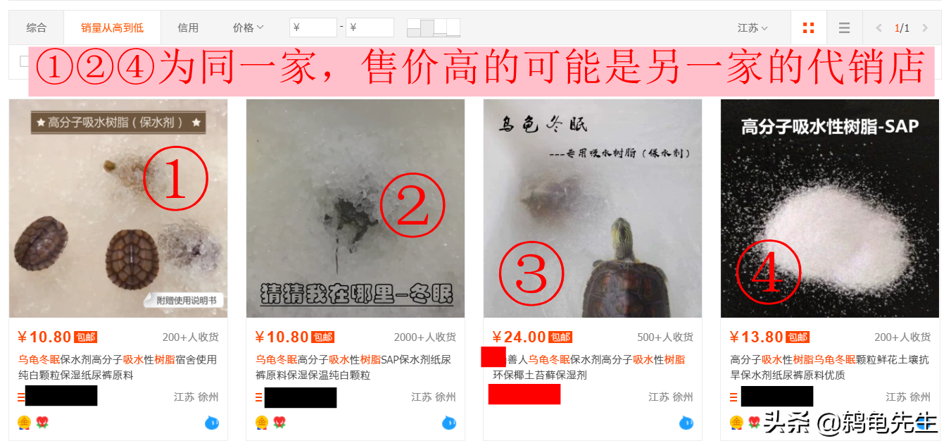 3元就买到一只黄喉小青龟？双十一网上低价捡漏买乌龟的方法技巧