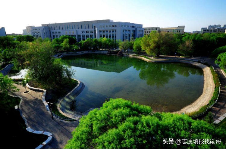 内地承认石河子大学吗（​高考填志愿）