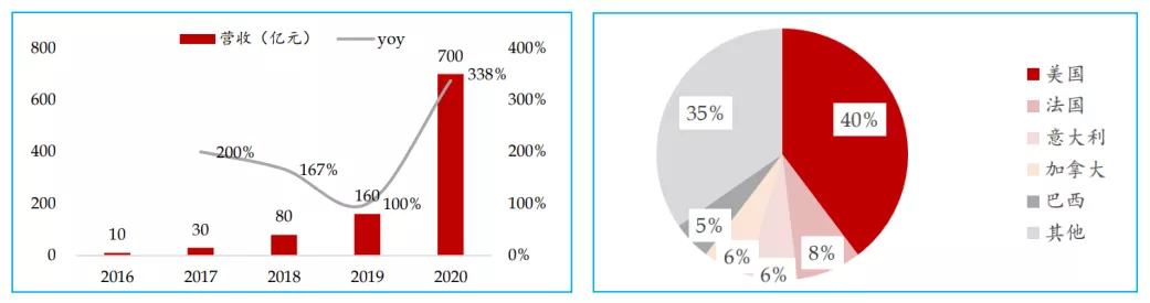 “中国最神秘的百亿美金公司”，藏不住了