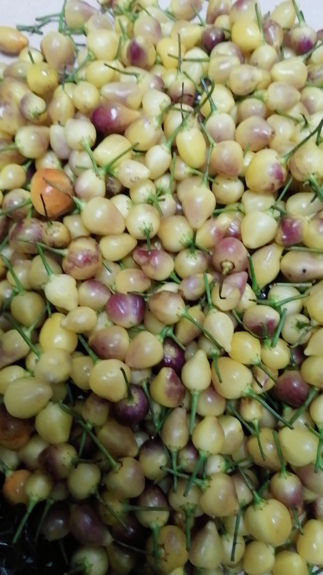 教你轻松做出酱泡五色椒