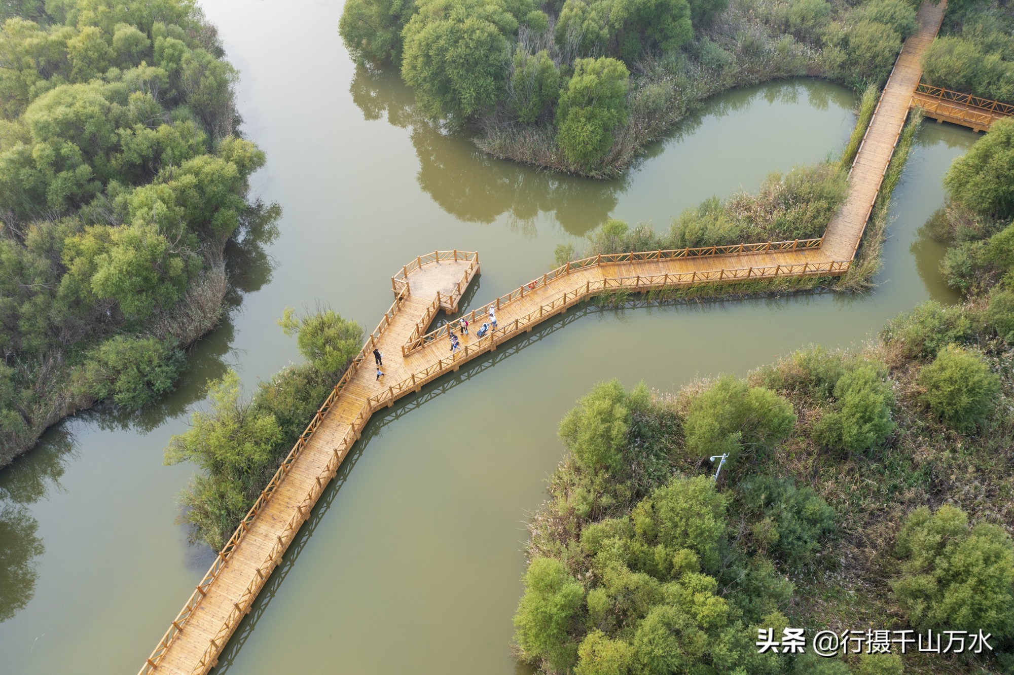 离东营最近的旅游景点图片