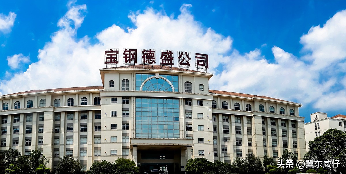 中国宝武集团钢铁板块的十二大钢铁子公司(中国大型钢铁制造商宝武钢铁集团)