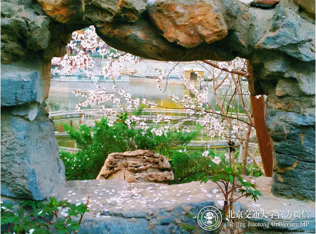 频频登上央视，霸榜全国第一！今天，北京交通大学迎来125岁生日！