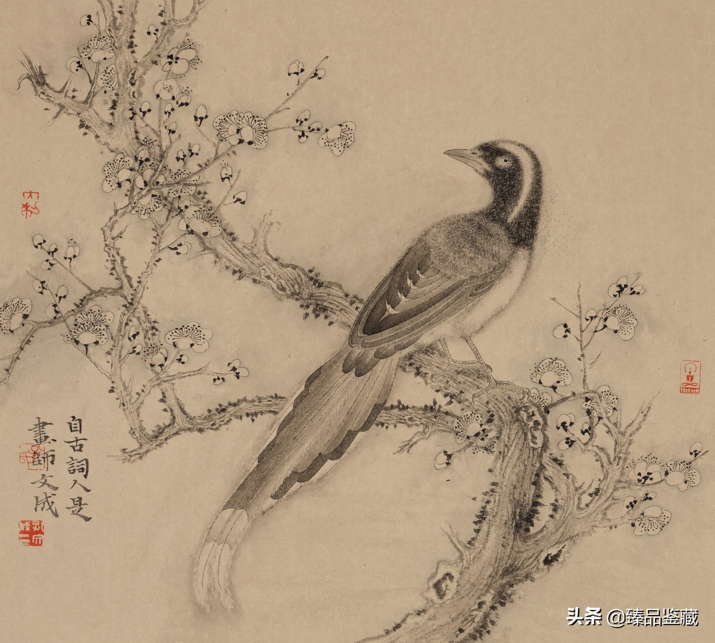 走到黑走到明 | 孔文成花鸟画的脉路